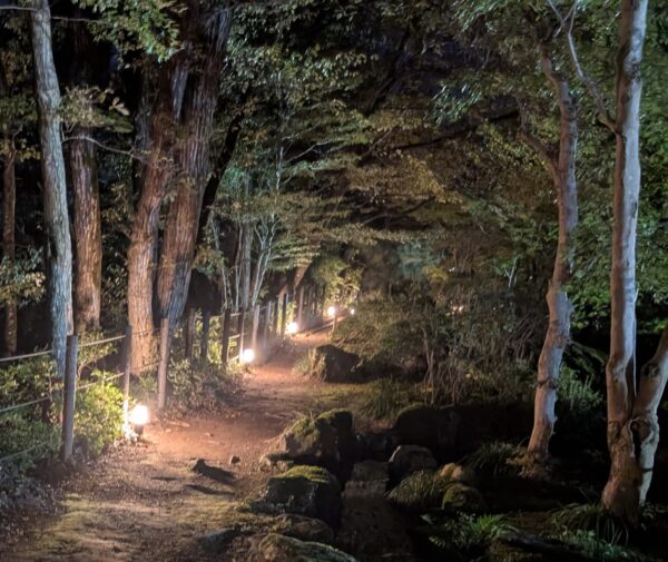 ライトアップ山道