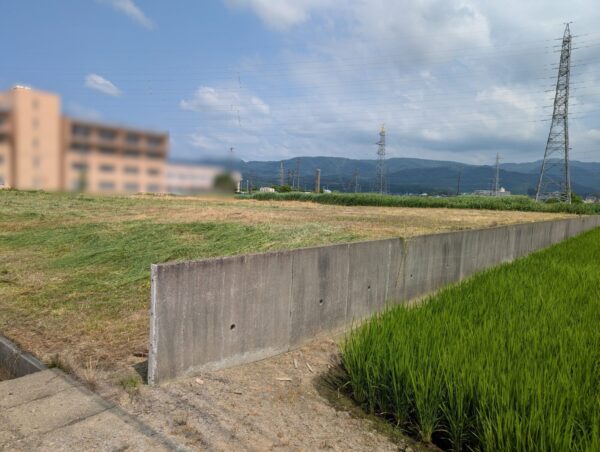 PXL_20250709_草刈り後 (4)