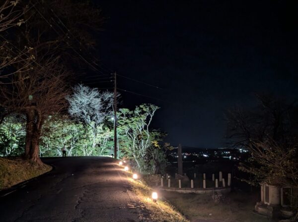 ライトアップ　参道