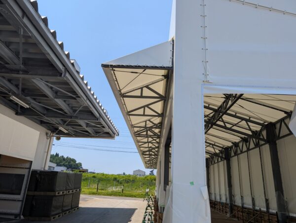 PXL_20250620_013934468 (1)