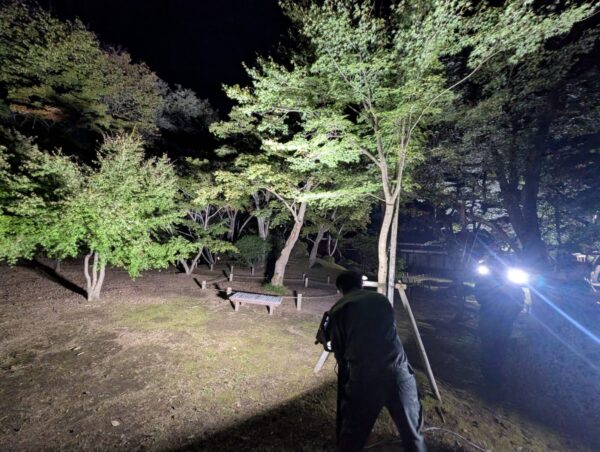 ライトアップ調整中