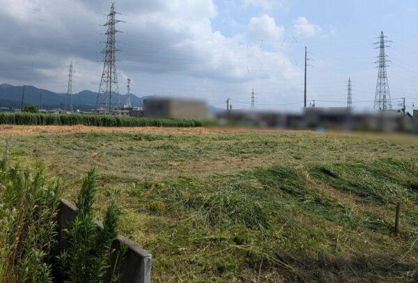 PXL_20250709_草刈り後 (3)